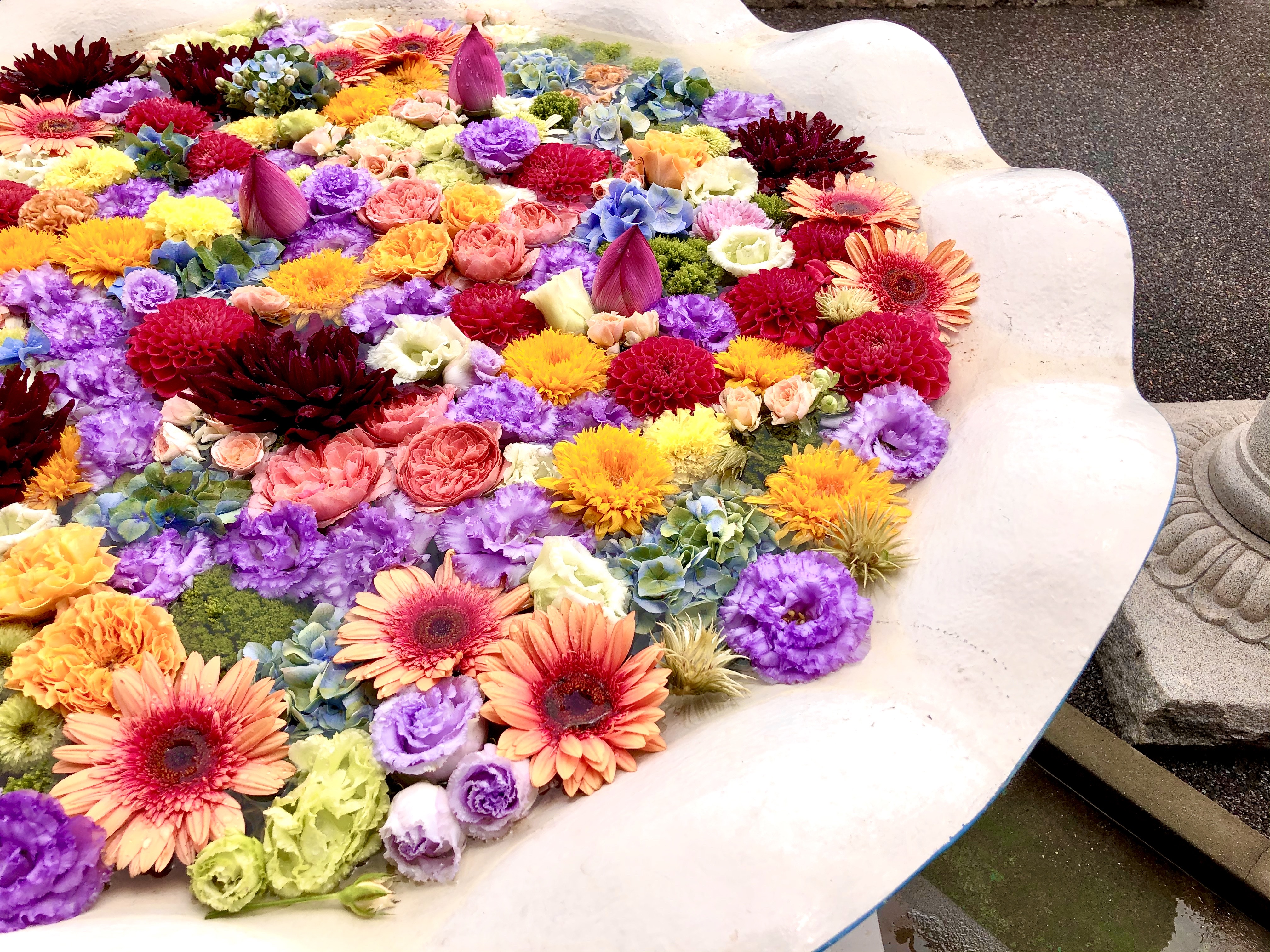 最明寺に花手水が飾られております 最明寺からのお知らせ